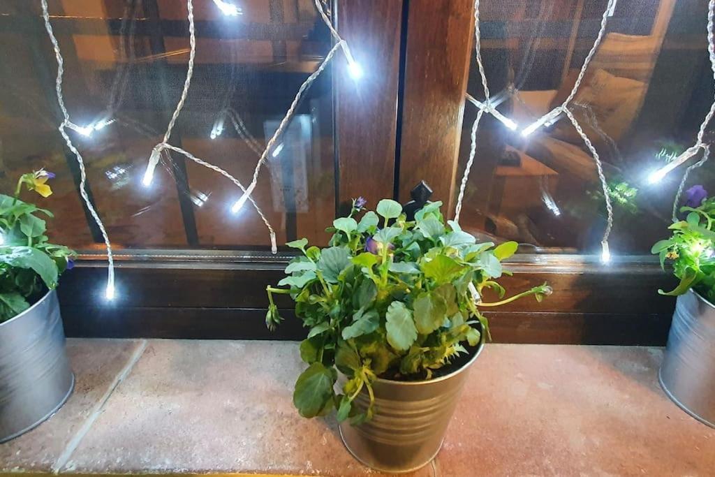 Apartamento Sefardi, Barrio Judio De Hervás Exterior foto